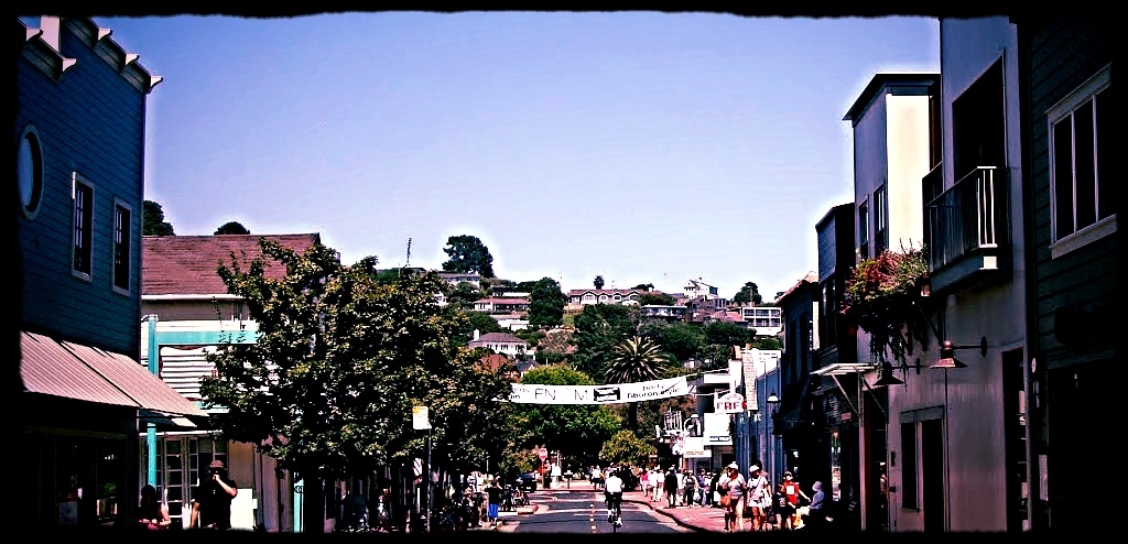 Home_security_systems_Tiburon_Marin_County_California-975615-edited.jpg
